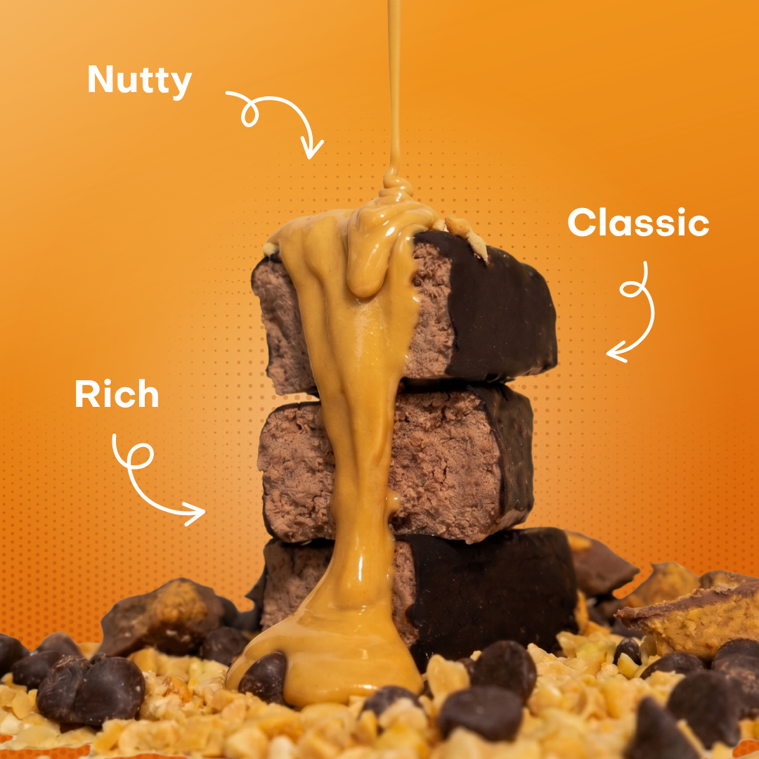 NEW FLAVOR [12-Bar Bundle] Protein Bar Variety Pack